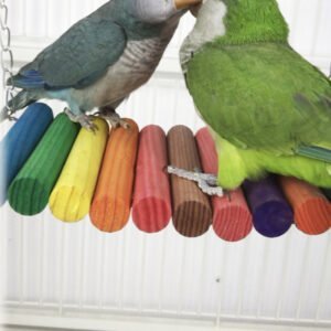 Parrot Toy Bird Supplies Colorful Swing Ladder