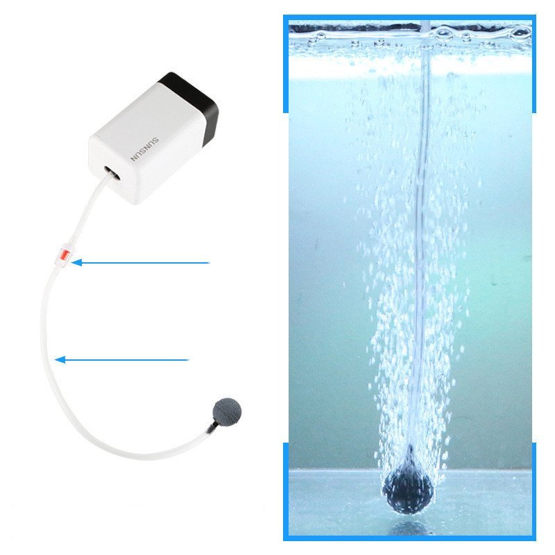 Aquarium Oxygenation Pump Aquarium Oxygenation Pump