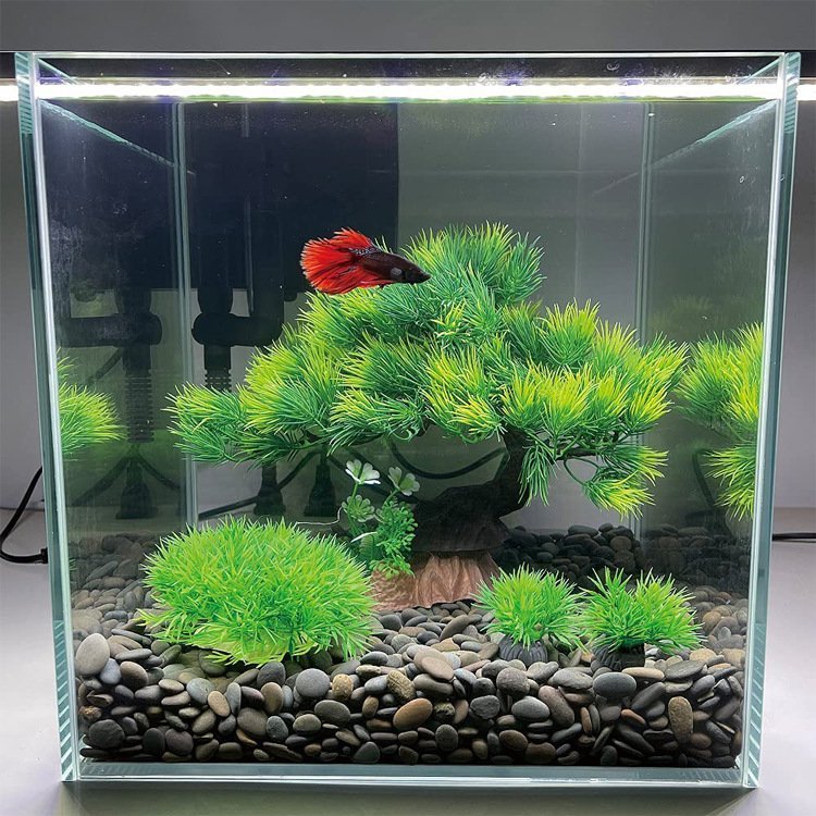 Aquarium Aquarium Decoration Water Plant