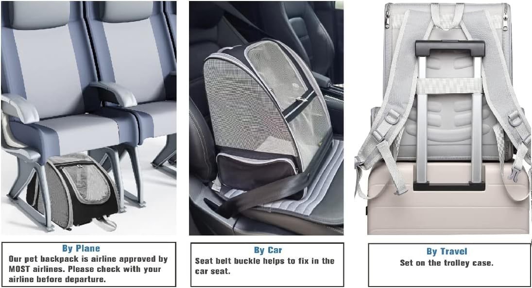 Innovative Traveler Bubble Backpack Pet Carriers For Cats And Dogs - Image 5